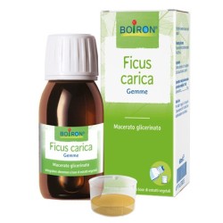 Boiron Ficus Carica Gemme Macerato Glicerinato 60 Ml