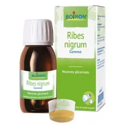 Boiron Ribes Nigrum Macerato Glicerico gocce 60 Ml