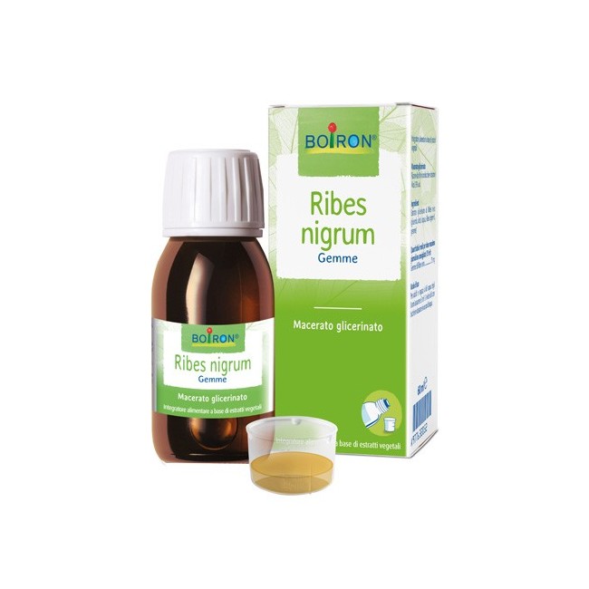 Boiron Ribes Nigrum Macerato Glicerico gocce 60 Ml Boiron Ribes Nigrum Macerato Glicerico gocce 60 Ml