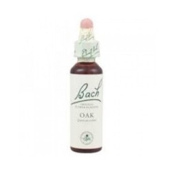 Schwabe Bach oak original gocce di fiori di bach 20ml