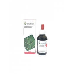 Arcangea Amamelide bio soluzione idroalcolica gocce 50ml