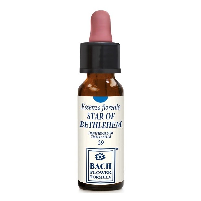 Erba Vita Italia Star Of Bethlehem 10 Ml Gocce Erba Vita Italia Star Of Bethlehem 10 Ml Gocce