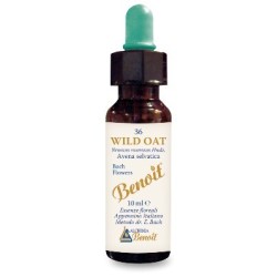 Alchimia Benoit Fiori Di Bach Benoit Wild Oat gocce 10 Ml