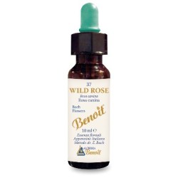 Alchimia Benoit Fiori Di Bach Benoit Wild Rose gocce 10 Ml
