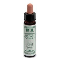 Santiveri Sa Ainsworths Beech fiori di bach 10ml