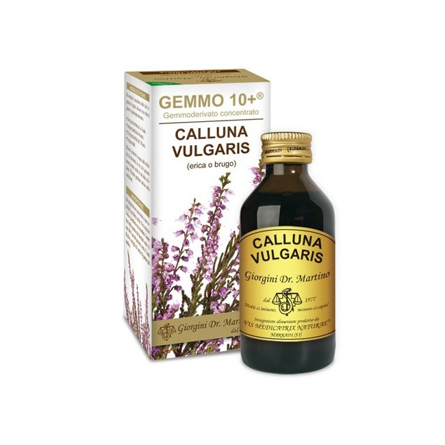 Dr Giorgini Ser-vis Gemmo 10+ Erica O Brugo 100 Ml Liquido Analcolico Dr Giorgini Ser-vis Gemmo 10+ Erica O Brugo 100 Ml Liquido Analcolico