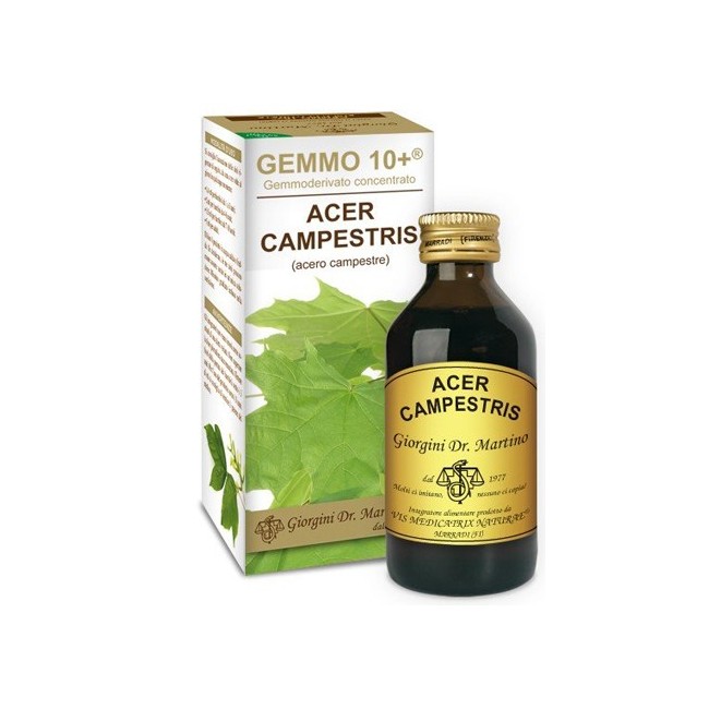 Dr Giorgini Gemmo 10+ Acero Campestre 100 Ml Liquido Analcolico Dr Giorgini Gemmo 10+ Acero Campestre 100 Ml Liquido Analcolico