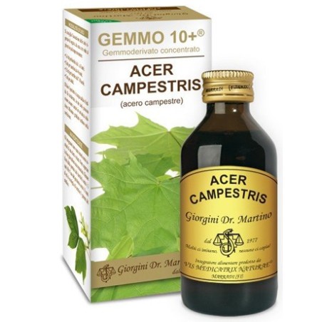 Dr Giorgini Gemmo 10+ Acero Campestre 100 Ml Liquido Analcolico