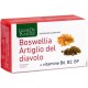 Natura Service Boswellia Artiglio Diavolo Vitamine B2 B6 B9 60 Capsule