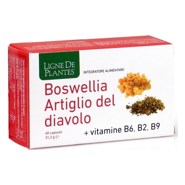 Natura Service Boswellia Artiglio Diavolo Vitamine B2 B6 B9 60 Capsule