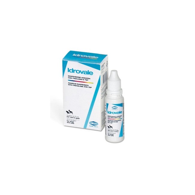 Slais Idrovale sospensione acquosa oculare 25 Ml Slais Idrovale sospensione acquosa oculare 25 Ml