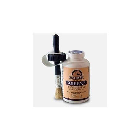 Equality Sole Pack Secch 473ml Equality Sole Pack Secch 473ml