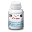 Oliverio Stilo Company Cartesse integratore 60 Compresse Oliverio Stilo Company Cartesse integratore 60 Compresse