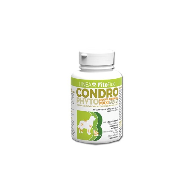 Trebifarma Condrophyto integratore 60 Compresse 2 G Trebifarma Condrophyto integratore 60 Compresse 2 G
