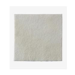Coloplast Biatain Alginate medicazione 15x15 Cm 10 Pezzi