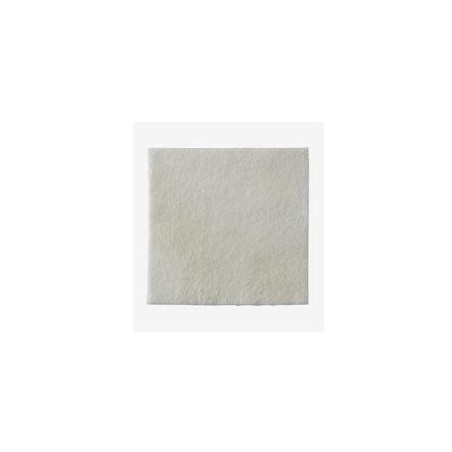 Coloplast Biatain Alginate medicazione 15x15 Cm 10 Pezzi