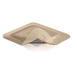 Molnlycke Mepilex Border Ag Bordo 10x10 cm 5 pezzi