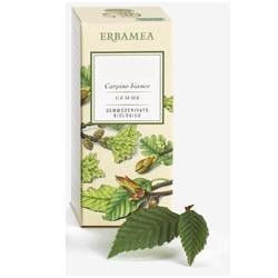 Erbamea Ficus Carica Gemme