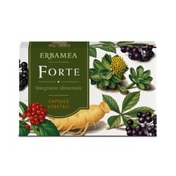 Erbamea Forte 24 Capsule con estratto secco di ginseng