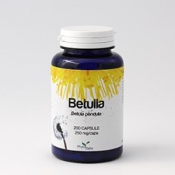 Phytoitalia Betulla integratore 60 Capsule