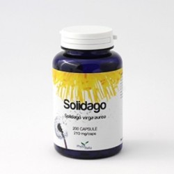 Phytoitalia Solidago integratore 60 Capsule