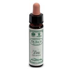 Santiveri Sa Ainsworths Pine gocce 10ml