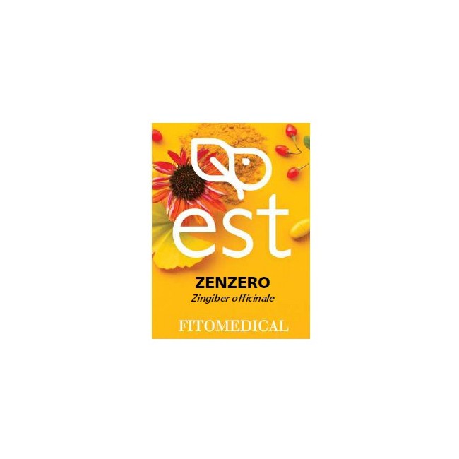 Fitomedical Zenzero Estratto Secco Integratore 60 Tavolette Fitomedical Zenzero Estratto Secco Integratore 60 Tavolette