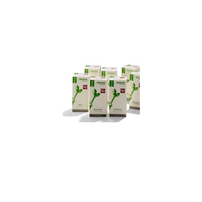 Fitomedical Agnocasto macerato glicerinato 100ml