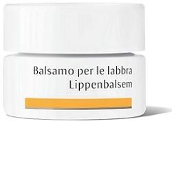 Wala Italia Dr Hauschka Balsamo Labbra rigenerante  4,5g