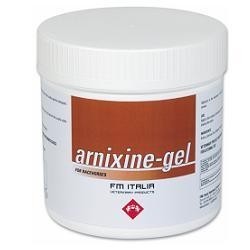 Fm Italia Group Arnixine Gel per dolori muscolari 750ml