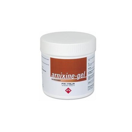 Fm Italia Group Arnixine Gel per dolori muscolari 750ml