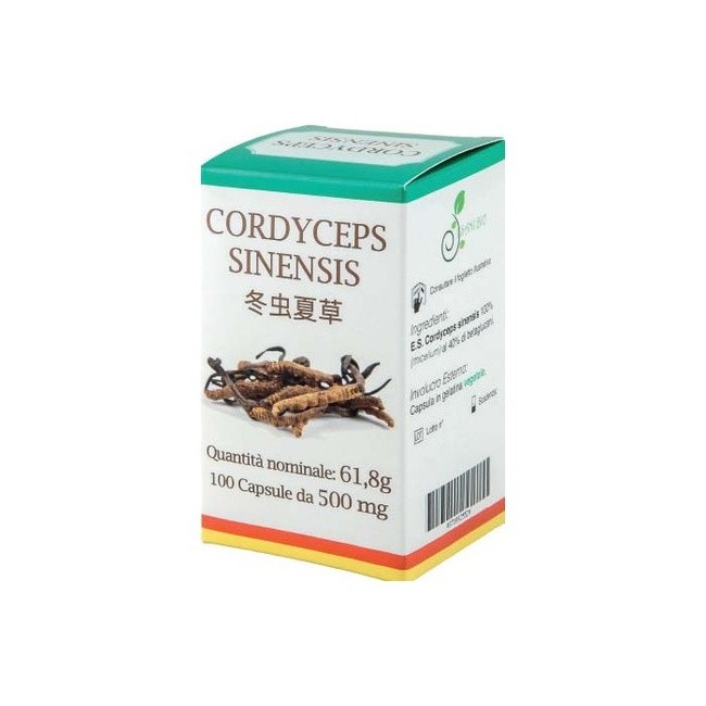 Atena Bio Cordyceps 100 Capsule Atena Bio Cordyceps 100 Capsule