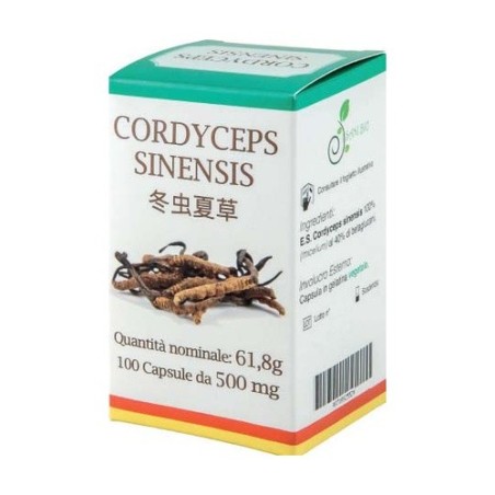 Atena Bio Cordyceps 100 Capsule Atena Bio Cordyceps 100 Capsule