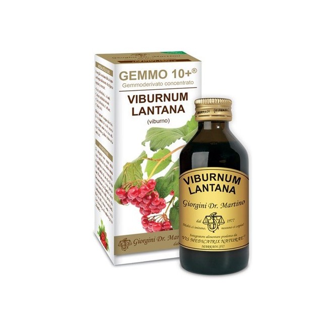 Dr. Giorgini Ser-vis Viburno Liquido Analcolico Gemmo 10+ 100 Ml Dr. Giorgini Ser-vis Viburno Liquido Analcolico Gemmo 10+ 100 Ml