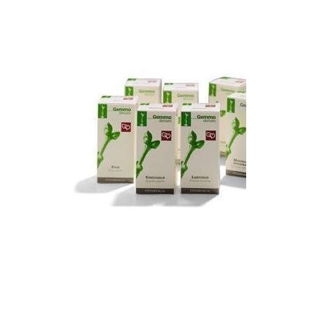 Fitomedical Vite Vinifera macerato glicerinato 200ml Fitomedical Vite Vinifera macerato glicerinato 200ml