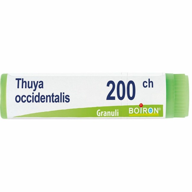 Boiron Thuya Occidentalis 200ch Globuli Boiron Thuya Occidentalis 200ch Globuli