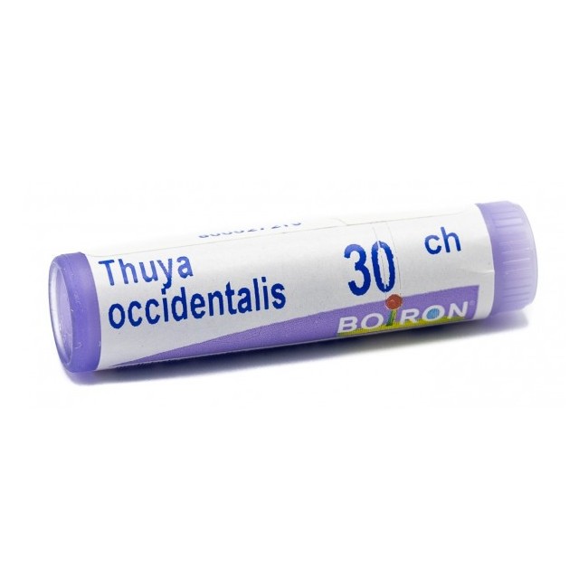 Boiron Thuya Occidentalis 30 Ch Globuli Boiron Thuya Occidentalis 30 Ch Globuli