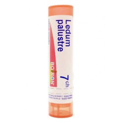 Boiron Ledum Palustre 7 Ch Granuli