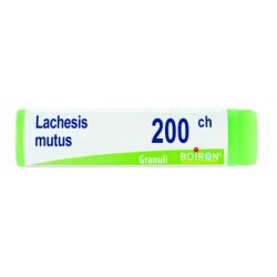 Boiron Lachesis Mutus 200ch Globuli