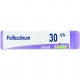 Boiron Folliculinum 30ch Globuli