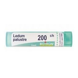Boiron Ledum Palustre 200ch Granuli