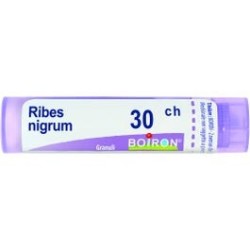 Boiron Ribes Nigrum 30ch Granuli