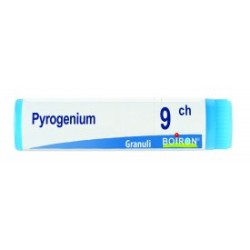 Boiron Pyrogenium 9ch Globuli