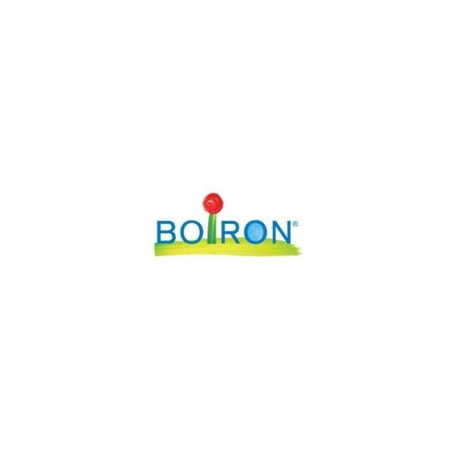 Boiron Manganum Aceticum 5 ch granuli Boiron Manganum Aceticum 5 ch granuli