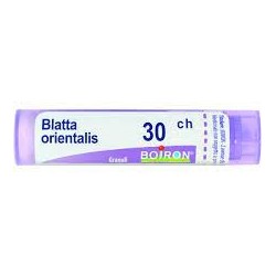 Boiron Blatta Orientalis 30ch Granuli