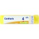 Boiron Cantharis 04ch tubo granuli medicinale omeopatico