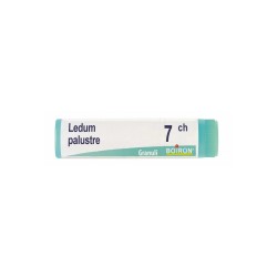 Boiron Ledum Palustre 7ch Globuli