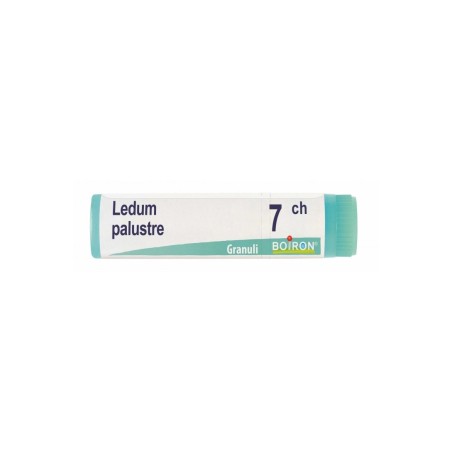 Boiron Ledum Palustre 7ch Globuli Boiron Ledum Palustre 7ch Globuli