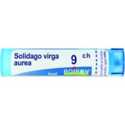 Boiron Solidago Virga Aurea 9ch Granuli