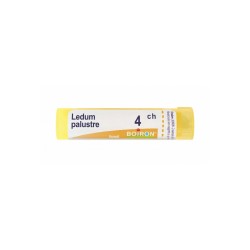 Boiron Ledum Palustre 4ch Granuli